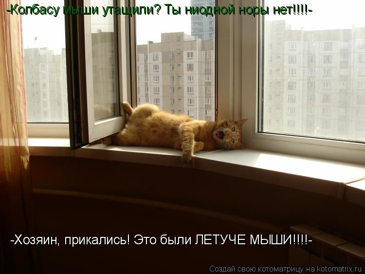 -Колбасу мыши утащили? Ты ниодной норы нет!!!!- -Хозяин, прикались! Это были ЛЕТУЧЕ МЫШИ!!!!-... Котоматрица: -Колбасу мыши утащили? Ты ниодной норы нет!!!!- -Хозяин, прикались! Это были ЛЕТУЧЕ МЫШИ!!!!-