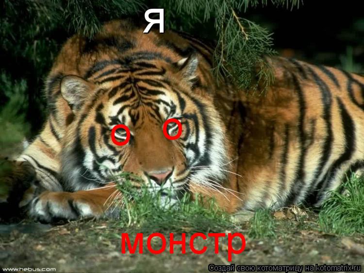 я монстр о о... Котоматрица: я монстр о о