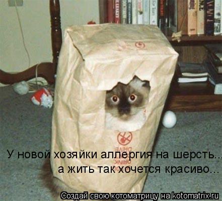 У новой хозяйки аллергия на шерсть... а жить так хочется красиво...... Котоматрица: У новой хозяйки аллергия на шерсть... а жить так хочется красиво...