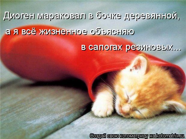 Диоген мараковал в бочке деревянной, а я всё жизненное объясняю в сапогах резиновых...... Котоматрица: Диоген мараковал в бочке деревянной, а я всё жизненное объясняю в сапогах резиновых...