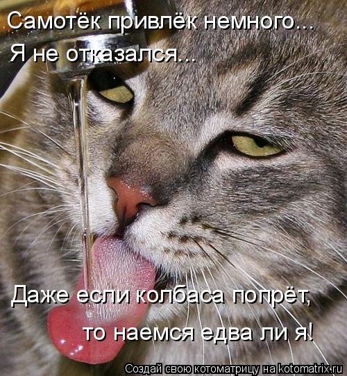 Самотёк привлёк немного... Я не отказался... Даже если колбаса попрёт, то наемся едва ли я!... Котоматрица: Самотёк привлёк немного... Я не отказался... Даже если колбаса попрёт, то наемся едва ли я!