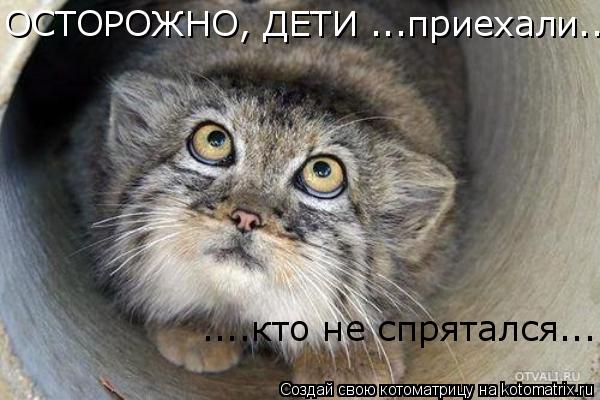 Котоматрица: ОСТОРОЖНО, ДЕТИ ...приехали... ....кто не спрятался...