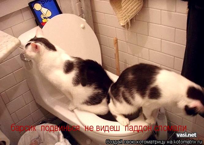 Котоматрица: барсик  подвинься  не видеш  паддон сломали