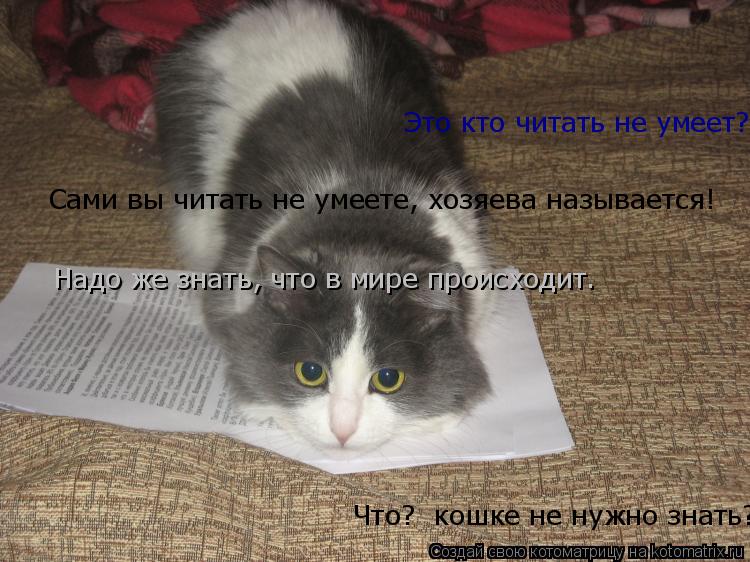 Котоматрица: Это кто хочет у меня документы отобрать!? Мировой кризис. знаете ли, всех касается Это кто читать не умеет? Я!?  Надо же знать, что в мире проис