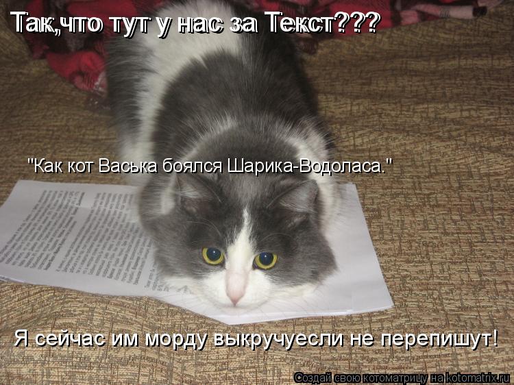 Котоматрица: Так,что тут у нас за Текст??? Так,что тут у нас за Текст??? "Как кот Васька боялся Шарика-Водоласа." Я сейчас им морду выкручуесли не перепишут!