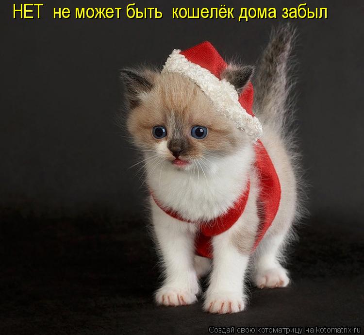 Котоматрица: НЕТ  не может быть  кошелёк дома забыл