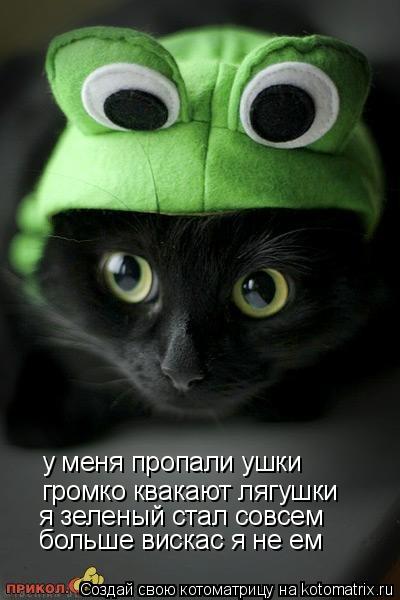 Котоматрица: у меня пропали ушки громко квакают лягушки я зеленый стал совсем больше вискас я не ем