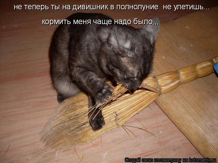 не теперь ты на дивишник в полнолуние не улетишь... кормить меня чаще надо было,,,... Котоматрица: не теперь ты на дивишник в полнолуние не улетишь... кормить меня чаще надо было,,,
