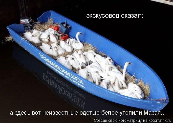 экскусовод сказал: а здесь вот неизвестные одетые белое утопили Мазая...... Котоматрица: экскусовод сказал: а здесь вот неизвестные одетые белое утопили Мазая...