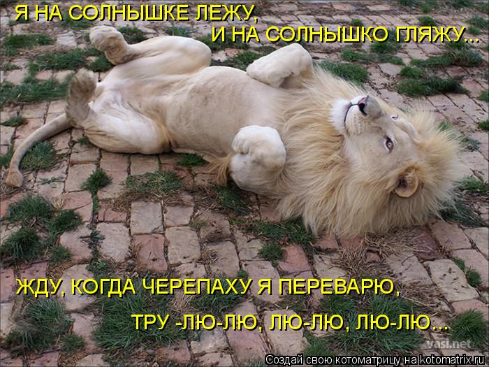 ЖДУ, КОГДА ЧЕРЕПАХУ Я ПЕРЕВАРЮ, ТРУ -ЛЮ-ЛЮ, ЛЮ-ЛЮ, ЛЮ-ЛЮ... Я НА СОЛНЫШКЕ ЛЕЖУ, И НА СОЛНЫШКО ГЛЯЖУ.... Котоматрица: ЖДУ, КОГДА ЧЕРЕПАХУ Я ПЕРЕВАРЮ, ТРУ -ЛЮ-ЛЮ, ЛЮ-ЛЮ, ЛЮ-ЛЮ... Я НА СОЛНЫШКЕ ЛЕЖУ, И НА СОЛНЫШКО ГЛЯЖУ...