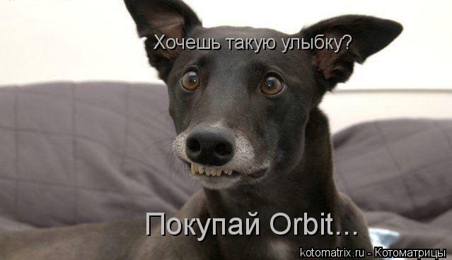 Хочешь такую улыбку? Покупай Orbit...... Котоматрица: Хочешь такую улыбку? Покупай Orbit...