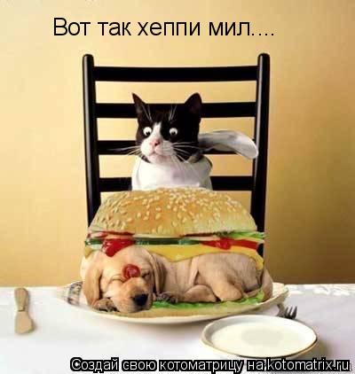 Вот так хеппи мил....... Котоматрица: Вот так хеппи мил....