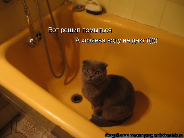 Вот решил помыться А хозяева воду не дают(((((... Котоматрица: Вот решил помыться А хозяева воду не дают(((((