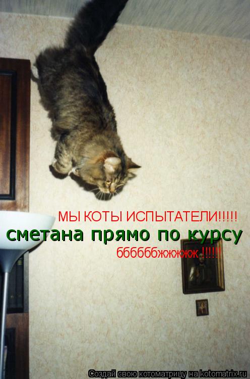 МЫ КОТЫ ИСПЫТАТЕЛИ!!!!! сметана прямо по курсу ббббббжжжжж !!!!!!... Котоматрица: МЫ КОТЫ ИСПЫТАТЕЛИ!!!!! сметана прямо по курсу ббббббжжжжж !!!!!!