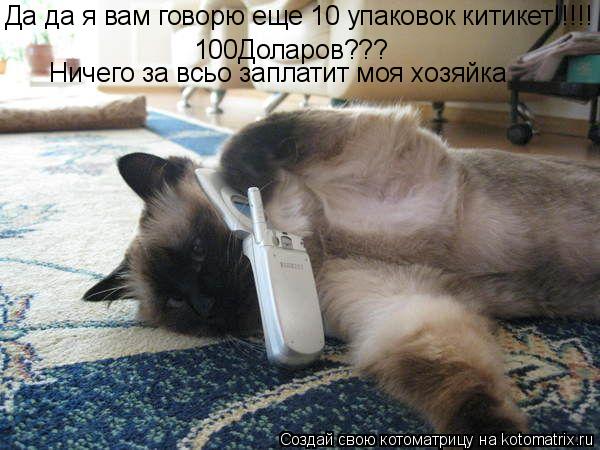 Да да я вам говорю еще 10 упаковок китикет!!!!! 100Доларов??? Ничего за всьо заплатит моя хозяйка... Котоматрица: Да да я вам говорю еще 10 упаковок китикет!!!!! 100Доларов??? Ничего за всьо заплатит моя хозяйка