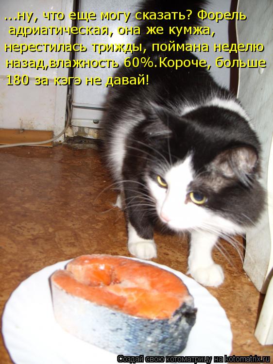 ...ну, что еще могу сказать? Форель нерестилась трижды, поймана неделю назад,влажность 60%.Короче, б... Котоматрица: ...ну, что еще могу сказать? Форель нерестилась трижды, поймана неделю назад,влажность 60%.Короче, больше 180 за кэгэ не давай! адриатическая, о