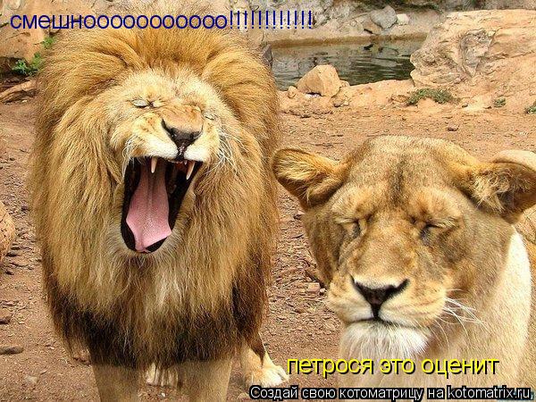 смешнооооооооооо!!!!!!!!!!!! петрося это оценит... Котоматрица: смешнооооооооооо!!!!!!!!!!!! петрося это оценит