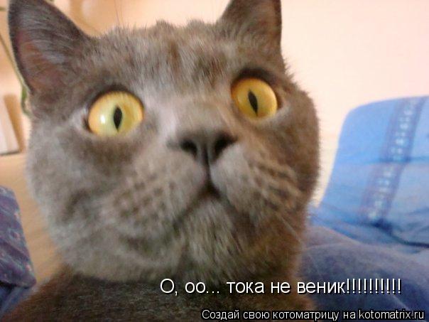 О, оо... тока не веник!!!!!!!!!!... Котоматрица: О, оо... тока не веник!!!!!!!!!!