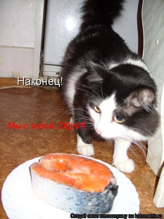 Котоматрица: Наконец! Мы с тобой, ОДНИ!