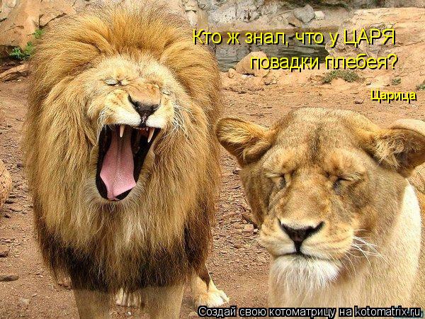 Котоматрица: Кто ж знал, что у ЦАРЯ повадки плебея? Царица
