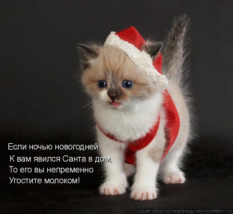 Если ночью новогодней К вам явился Санта в дом, То его вы непременно Угостите молоком!... Котоматрица: Если ночью новогодней К вам явился Санта в дом, То его вы непременно Угостите молоком!