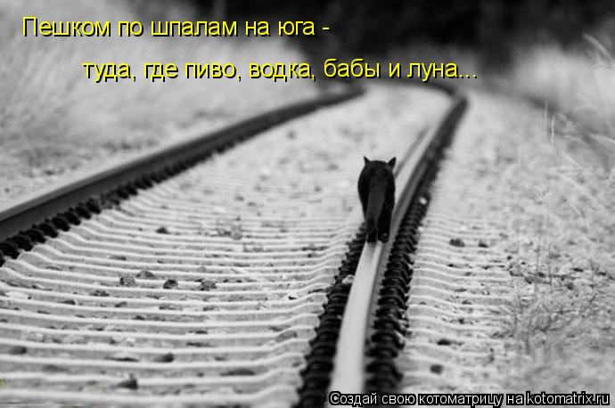 Котоматрица: Пешком по шпалам на юга - туда, где пиво, водка, бабы и луна...