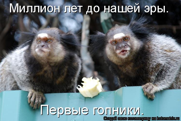 Котоматрица: Миллион лет до нашей эры. Первые гопники.