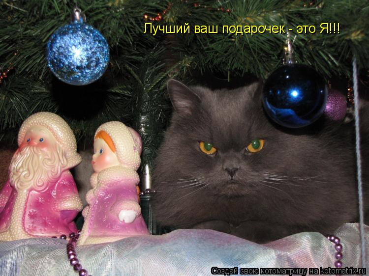 Котоматрица: Лучший ваш подарочек - это Я!!!