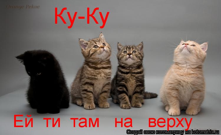Котоматрица: Ку-Ку    Ей  ти  там   на   верху