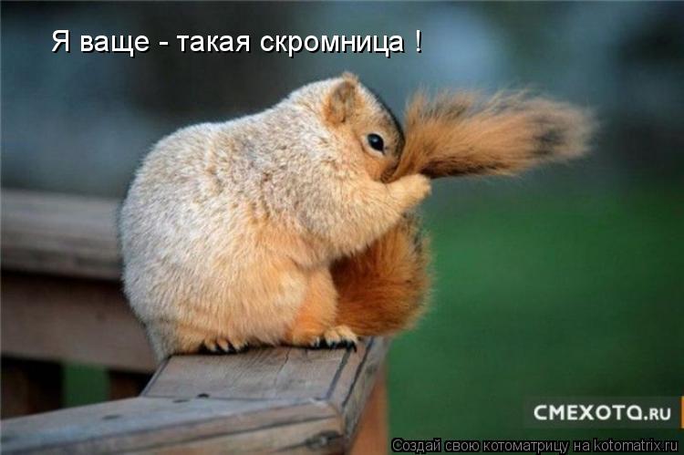 Котоматрица: Я ваще - такая скромница !