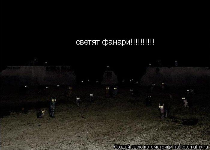 светят фанари!!!!!!!!!!... Котоматрица: светят фанари!!!!!!!!!!