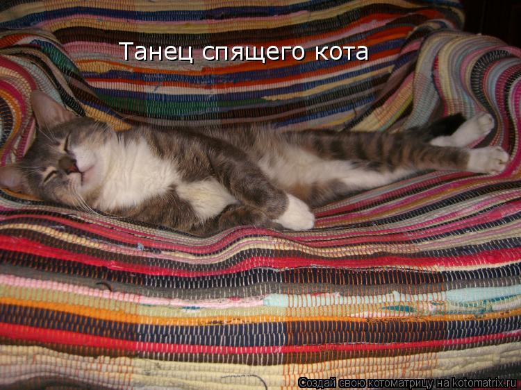 Танец спящего кота... Котоматрица: Танец спящего кота