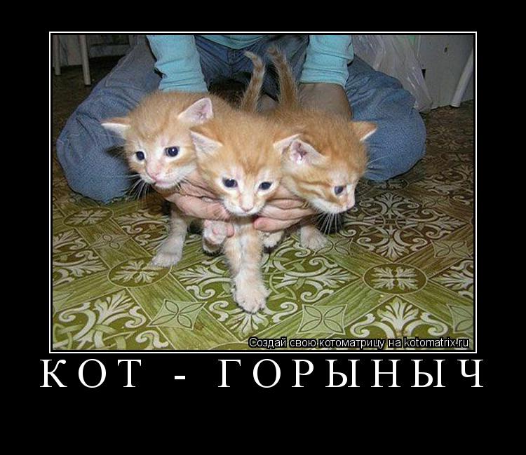 Котоматрица: КОТ - ГОРЫНЫЧ 