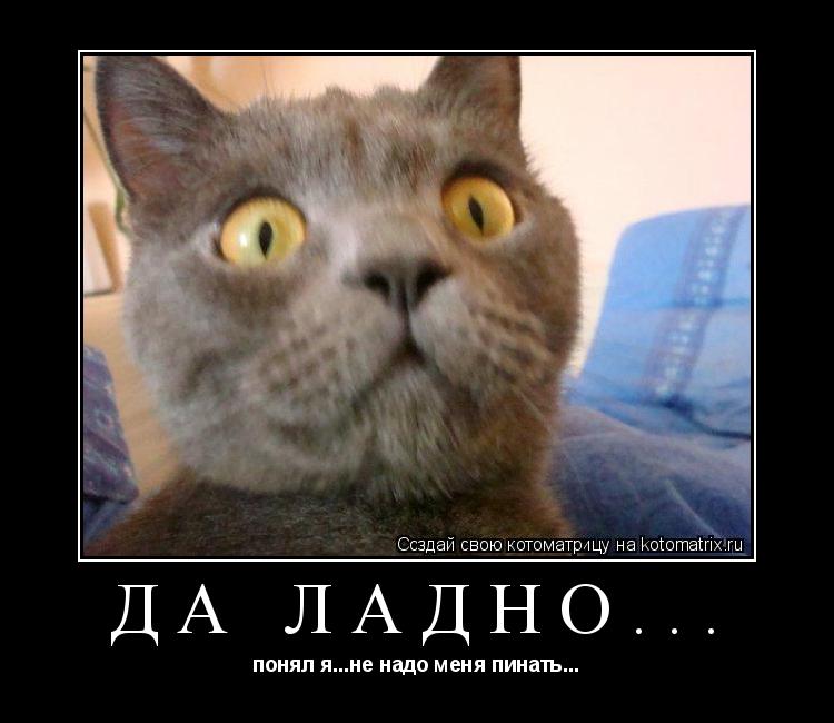Котоматрица: Да ладно... понял я...не надо меня пинать...