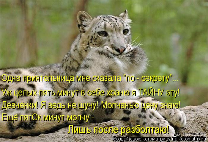 Девчёнки! Я ведь не шучу! Молчанью цену знаю! Ещё пятОк минут молчу - Лишь после разболтаю! Уж целых ... Котоматрица: Девчёнки! Я ведь не шучу! Молчанью цену знаю! Ещё пятОк минут молчу - Лишь после разболтаю! Уж целых пять минут в себе храню я ТАЙНУ эту! Одна п
