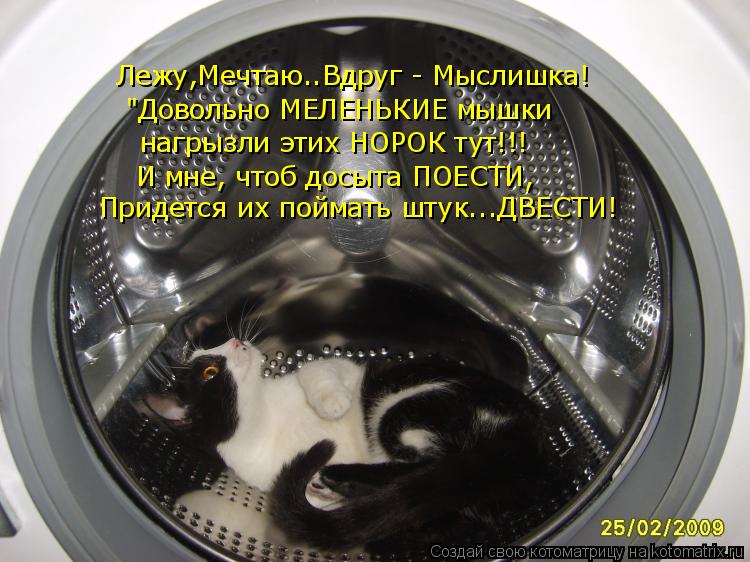 Лежу,Мечтаю..Вдруг - Мыслишка! "Довольно МЕЛЕНЬКИЕ мышки нагрызли этих НОРОК тут!!! И мне, чтоб досы... Котоматрица: Лежу,Мечтаю..Вдруг - Мыслишка! "Довольно МЕЛЕНЬКИЕ мышки нагрызли этих НОРОК тут!!! И мне, чтоб досыта ПОЕСТИ, Придется их поймать штук...ДВЕСТ