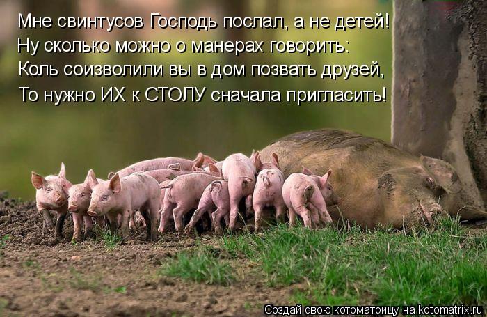 Мне свинтусов Господь послал, а не детей! Ну сколько можно о манерах говорить: Коль соизволили вы в ... Котоматрица: Мне свинтусов Господь послал, а не детей! Ну сколько можно о манерах говорить: Коль соизволили вы в дом позвать друзей, То нужно ИХ к СТОЛУ с