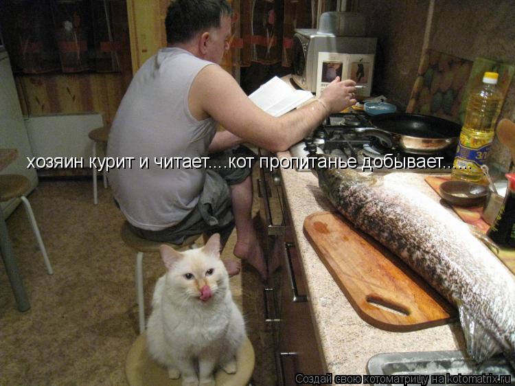 хозяин курит и читает....кот пропитанье добывает......... Котоматрица: хозяин курит и читает....кот пропитанье добывает......