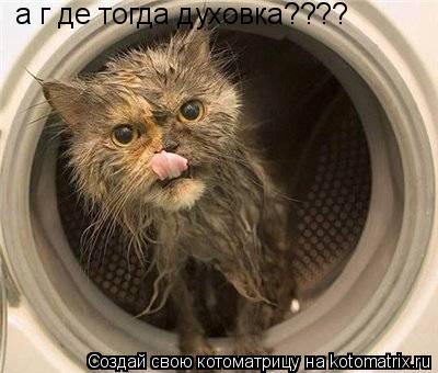 Котоматрица: а г де тогда духовка????