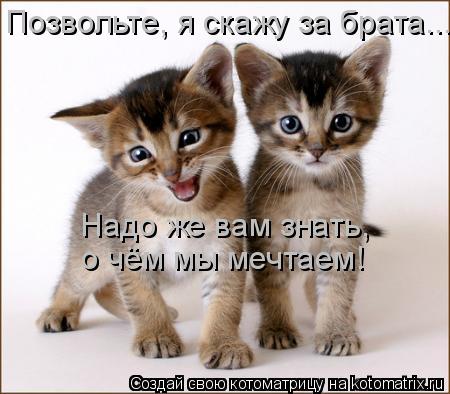 Котоматрица: Позвольте, я скажу за брата... Надо же вам знать,  о чём мы мечтаем!