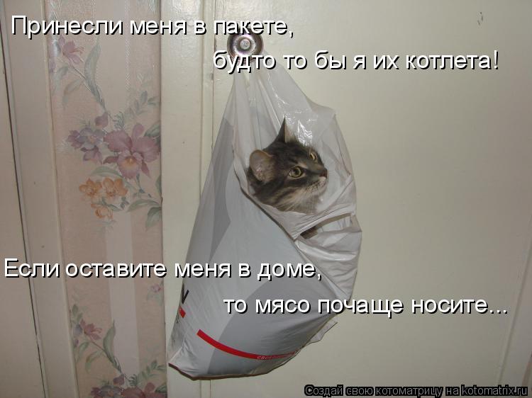 Котоматрица: Принесли меня в пакете,  будто то бы я их котлета! Если оставите меня в доме, то мясо почаще носите...