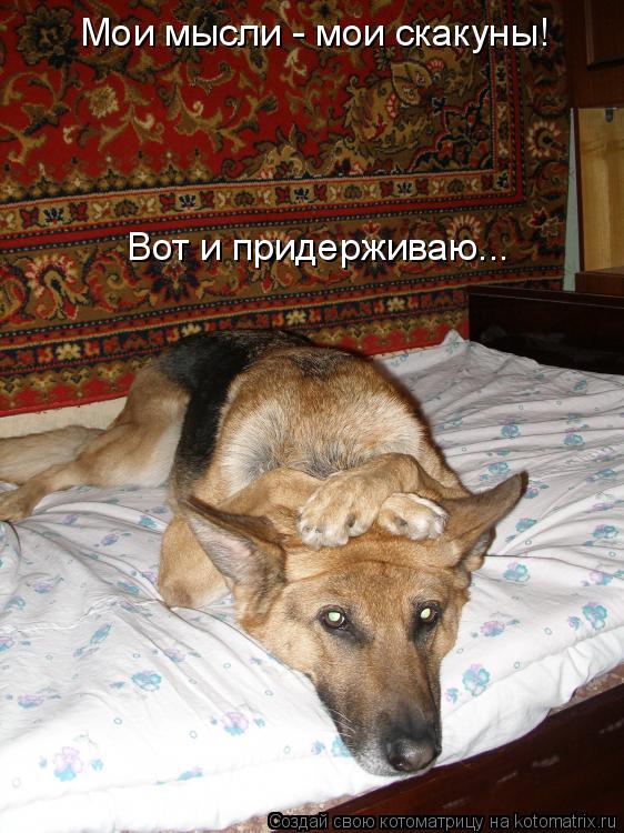 http://kotomatrix.ru/images/lolz/2009/12/29/445943.jpg