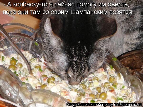 Котоматрица: - А колбаску-то я сейчас помогу им съесть, пока они там со своим шампанским возятся.