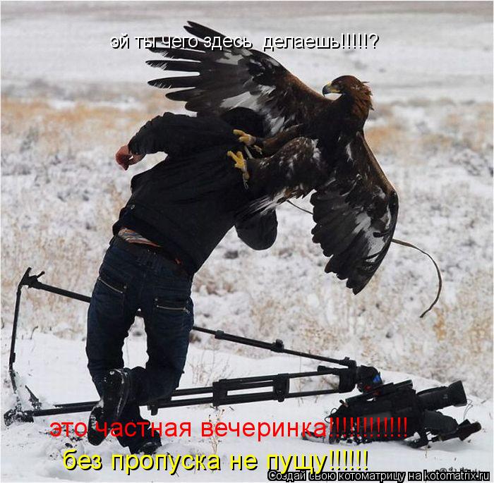 Котоматрица: эй ты чего здесь  делаешь!!!!!? это частная вечеринка!!!!!!!!!!!! без пропуска не пущу!!!!!!