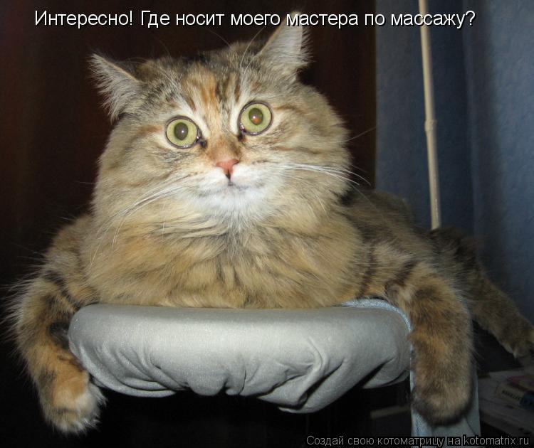 Котоматрица: Интересно! Где носит моего мастера по массажу?