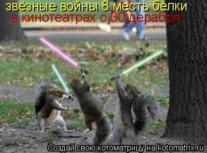 Котоматрица: звёзные войны 8 месть белки в кинотеатрах с 30 дерабря