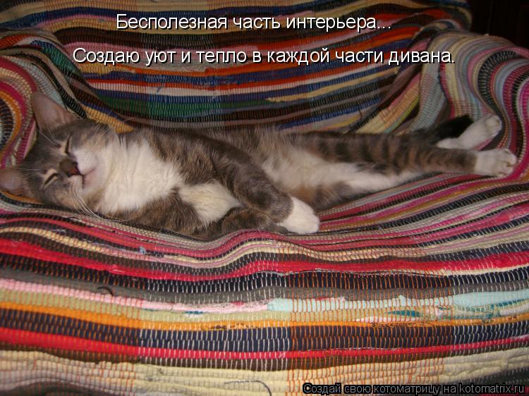 Котоматрица: Бесполезная часть интерьера... Создаю уют и тепло в каждой части дивана.