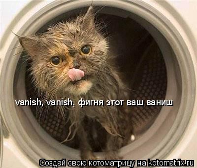 Котоматрица: vanish, vanish, фигня этот ваш ваниш