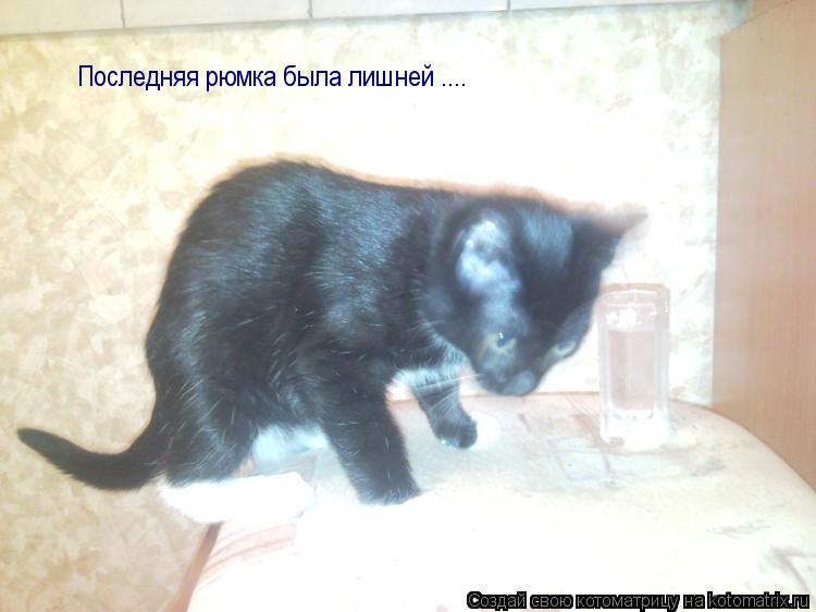 Котоматрица: Последняя рюмка была лишней ....