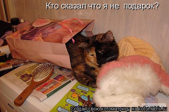 Котоматрица: Кто сказал что я не  подарок?